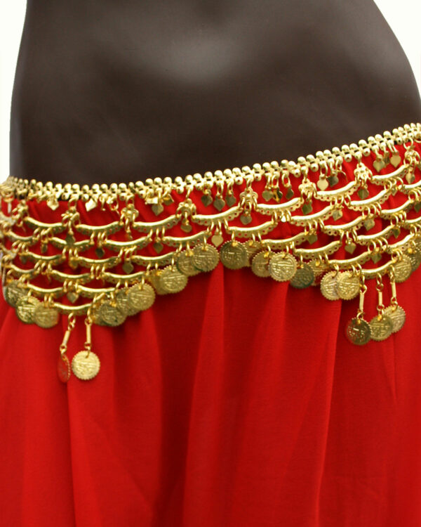 JinYu Set Da 5 Pezzi Per Danza Del Ventre E Cosplay: Gonna, Sciarpa Fianchi, Collana, Bracciale E Orecchini Dorati