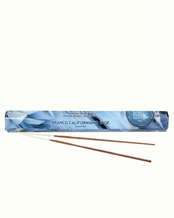 INCENSI SALVIA BIANCA marche assortite ( 1 pacchetto esagonale x 20 sticks )