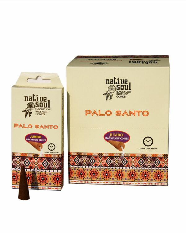 INCENSI IN CONO BACKFLOW NATIVE SOUL PALO SANTO (12 box x 8 coni maxi)