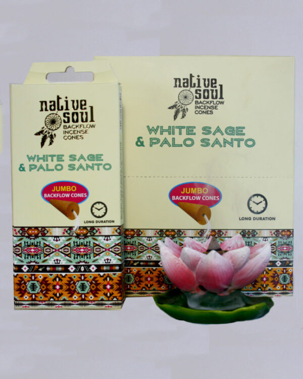 INCENSI IN CONO BACKFLOW NATIVE SOUL PALO SANTO E SALVIA BIANCA (12 box x 8 coni maxi)