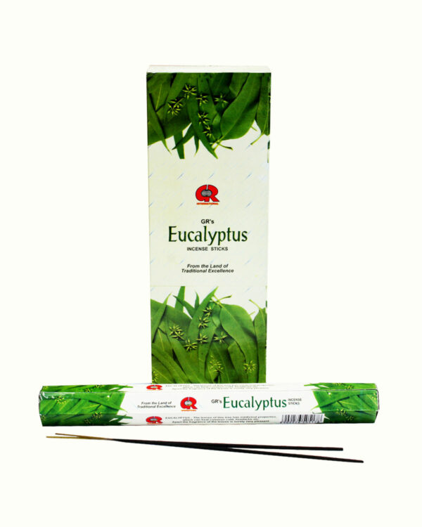 INCENSI EUCALIPTO (marche assortite) ( 6 p. esag. X 20 sticks )