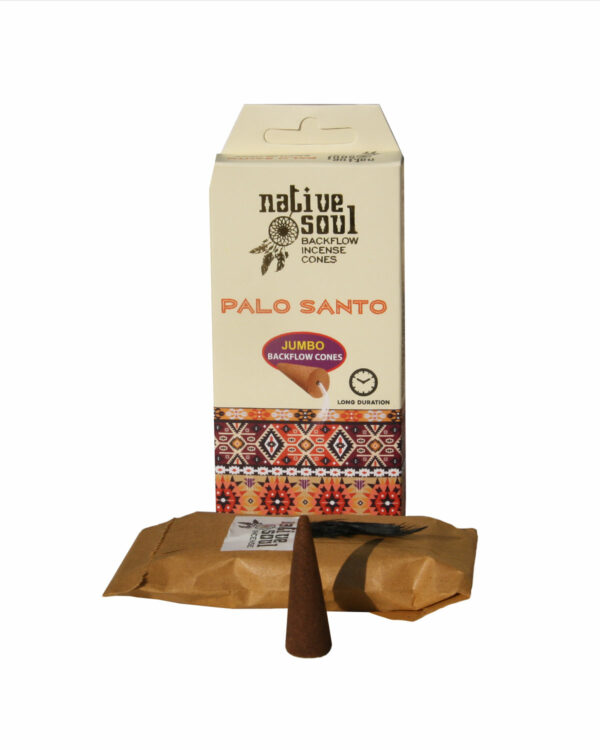 INCENSI IN CONO BACKFLOW NATIVE SOUL PALO SANTO (1 box x 8 coni maxi)