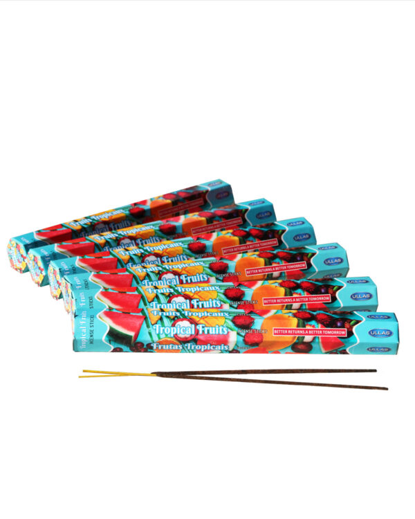 INCENSI  FRUTTI TROPICALI (marche assortite) ( 6 p. esag. X 20 sticks )