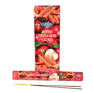 INCENSI  MELA CANNELLA E CHIODI DI GAROFANO  (marche assortite) ( 6 p. esag. X 20 sticks )