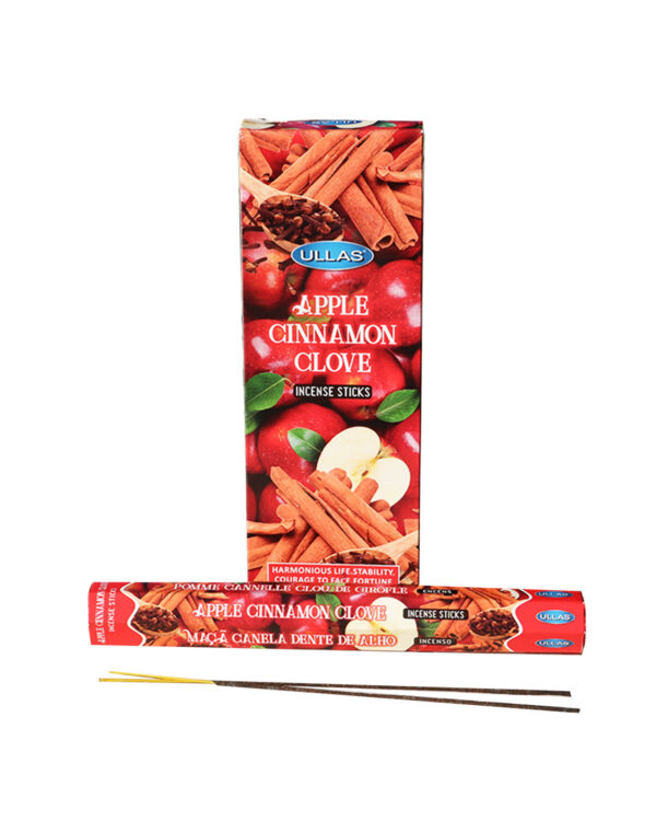 INCENSI  MELA CANNELLA E CHIODI DI GAROFANO  (marche assortite) ( 6 p. esag. X 20 sticks )