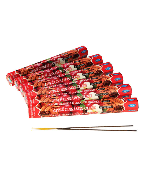 INCENSI  MELA CANNELLA E CHIODI DI GAROFANO  (marche assortite) ( 6 p. esag. X 20 sticks )