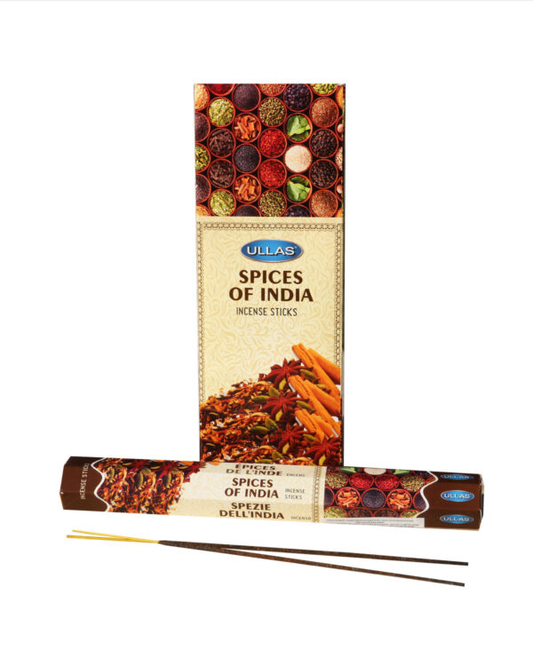 INCENSI  SPEZIE INDIANE (conf. 6 pacchetti esagonali x 20 sticks )