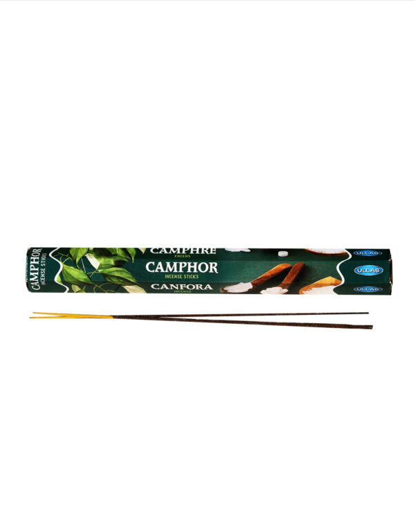 INCENSI  CANFORA ( marche assortite ) ( 1 pacchetto esagonale x 20 sticks )