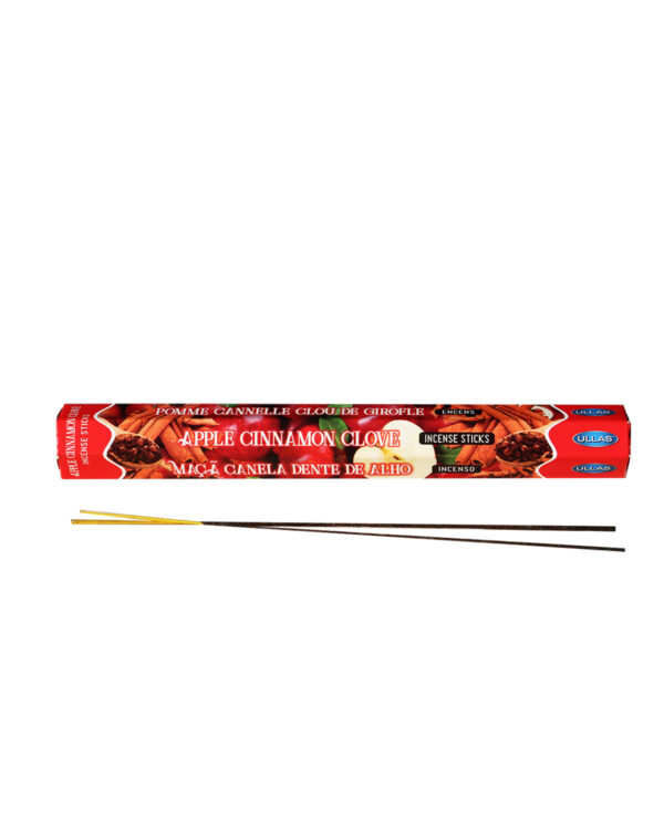 INCENSI  MELA CANNELLA E CHIODI DI GAROFANO( 1 pacchetto esagonale X 20 sticks )