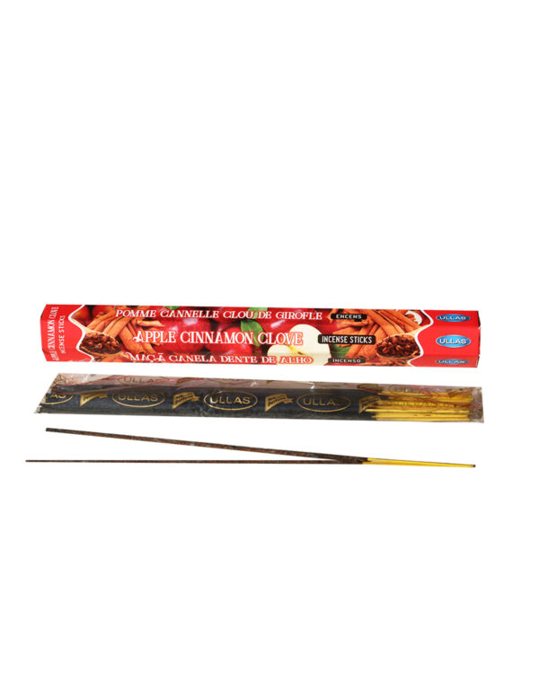 INCENSI  MELA CANNELLA E CHIODI DI GAROFANO( 1 pacchetto esagonale X 20 sticks )