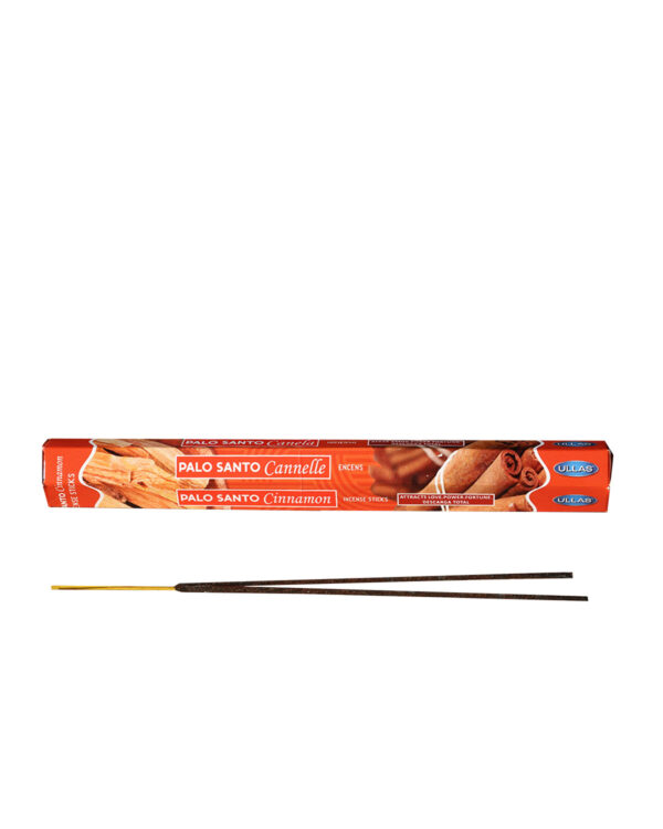 INCENSI  PALO SANTO E CANNELLA ( marche assortite) ( 1 pacchett. Esagonale x 20 sticks )