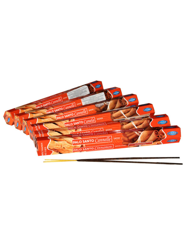 INCENSI  PALO SANTO E CANNELLA ( marche assortite) ( 1 pacchett. Esagonale x 20 sticks )