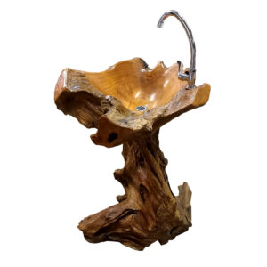 LAVANDINO RADICE DA APPOGGIO