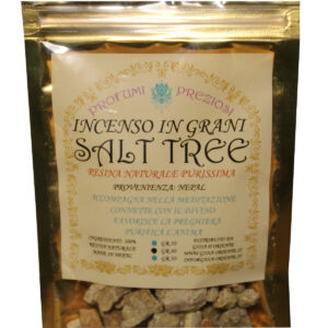 INCENSO IN GRANI SALT TREE LINEA PROFUMI PREZIOSI (6 p.oro x gr. 40 )
