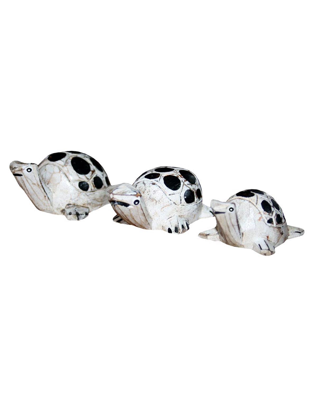 5133 TARTARUGHINE DECAPATE CON CERCHIETTI (set 3 pz)