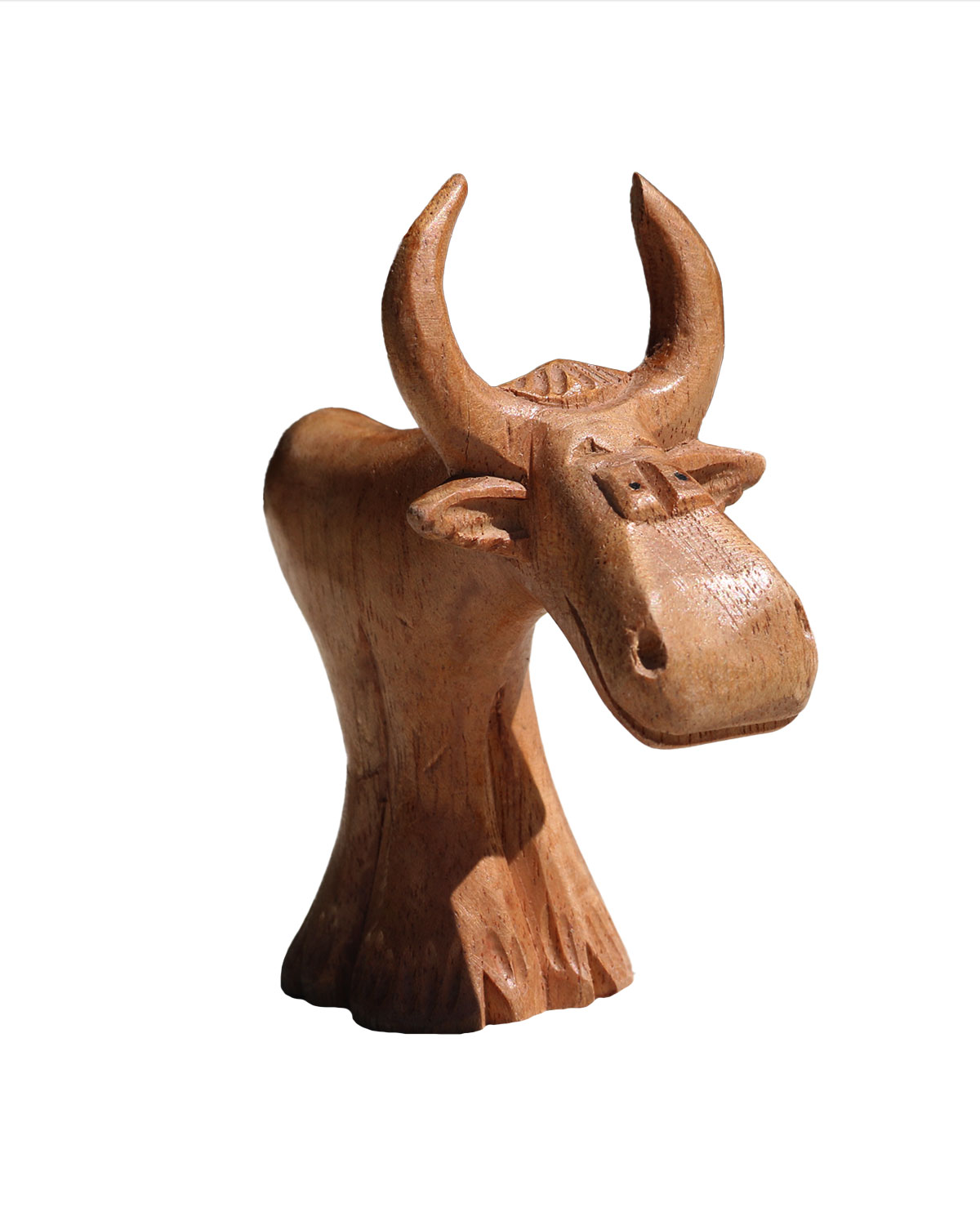 0171 TORO 8 CM