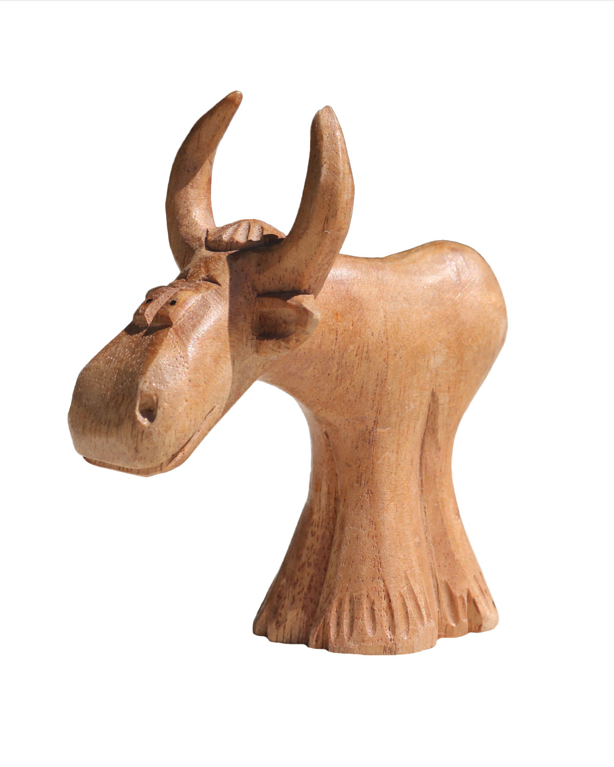 0171_1 TORO 8 CM